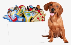 Dachshund Meadow Shower Curtain #3057165