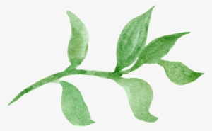 This Graphics Is Green Leaf Transparent About Vector,poster - Green #3057231