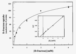 Kinetics Of Initial D Fructose Uptake The Rate Of D - Diagram #3058196