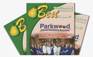 Alvin - Flyer #3058709