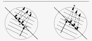 The Two Circled Regions Are Taken From Figure - Circle #3059377