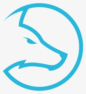 Ldlc - Team Ldlc #3061562