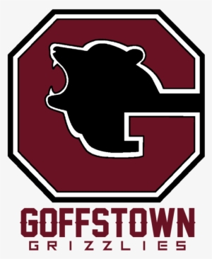 Grizzlies Logo Png - Football Title #3063541