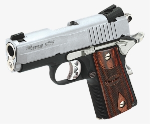 Banner Free Library 1911 Vector Criminal - Sig Compact Stainless 1911 #3064693