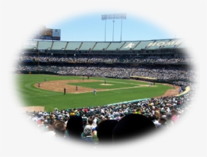 Even If You Are Not A Musician Bring Out Your Family - Oakland #3066227