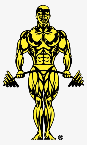 Gold's Gym Logo Png Transparent - Golds Gym Logo #3066698
