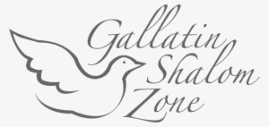 Shalom Zone - Gallatin Shalom Zone #3068082