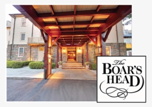 72 Custom Wholesale 17 Oz Green Terra Bella Mug #3071322