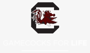 University Of South Carolina #3071817