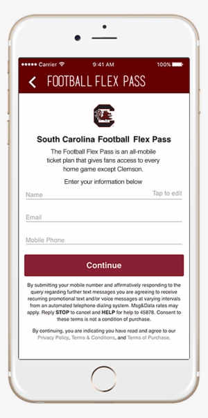 Fans Choose The Matchup And The Quantity Of Passes - South Carolina Gamecocks Football #3072092