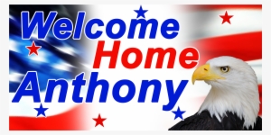 Bald Eagle Portrait Square Car Magnet 3" X 3" #3073047