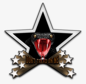 Pakistan Cricket Logo Png #3076392