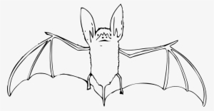 Net Clip Art Bat Black White Art Elish Halloween Svg - Fruit Bat Clipart Black And White #3076620