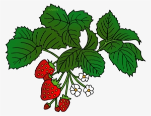 Strawberry Clipart Strawberry Tree - Food Chain Year 2 #3077530