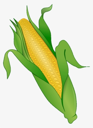 Corn Clipart Png Corn Clipart - Maize #3077752