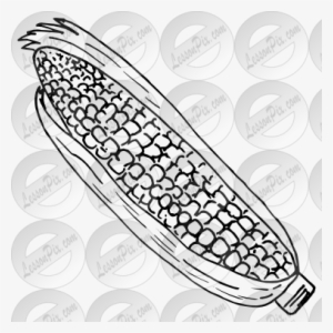 Corn Outline For Classroom Therapy Use Great Corn Clipart - Maize #3077946