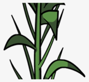 Corn Clipart Corn Leaf - Portable Network Graphics #3078064