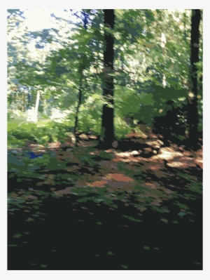 Lichtscheid Clipart Lichtscheid Temperate Broadleaf - Forest #3078353