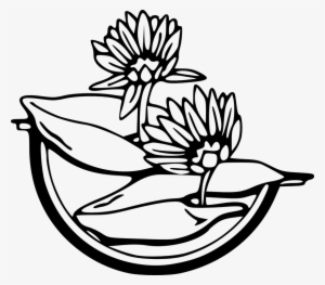 Water Black And White Free Vector Graphic Flowers Black - Water Lily Black And White Clipart #3078370