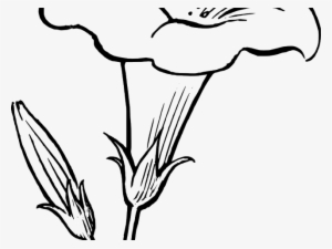Flowers Clipart Black And White #3078420