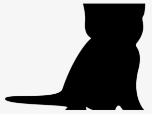 Drawn Black Cat Outline #3080114