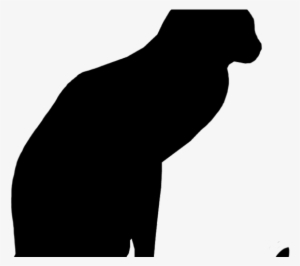 Drawn Black Cat Outline - Drawing #3080323