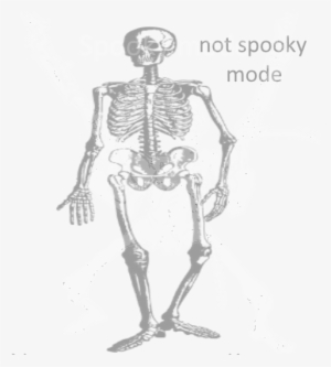Time To Rave At Spooky Time - Skeleton #3080714