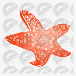 Sea Star Template - Starfish #3082065
