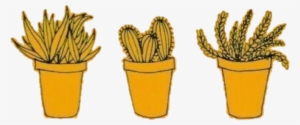 Yellow Amarillo Freetoedit Cactus Tumblr Random Aesthet - Yellow Cactus #3082310
