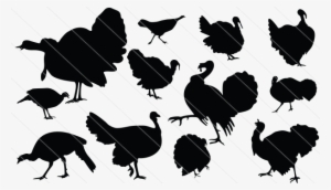 Turkey Silhouette Vector - Turkey Silhouette Sticker Decal For Macbook Pro #3082311