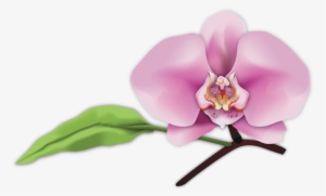 Customized To Meet All Your Facial Needs - Digital Art #3082636