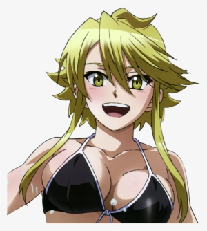 Png - Akame Ga Kill Leone Render #3082671