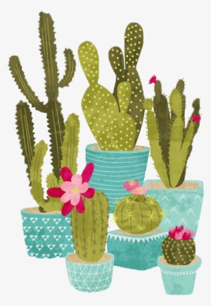 Report Abuse - Cactus #3082677