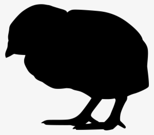 Turkey Silhouette Download - Dessin Poussin Silhouette #3082715