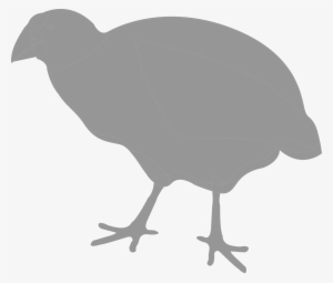 Severe Winters Limit Food - Chicken #3082806