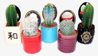 Ray Ban Wayfair Transparent Sunglasses Tumblr Transparent - Cactus #3082959