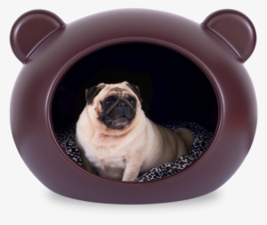 Dcmm Apt Ambientada - Dog #3084074