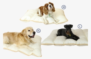 Ellis Fibre Pet Bed Sizes - Bed Size #3084658