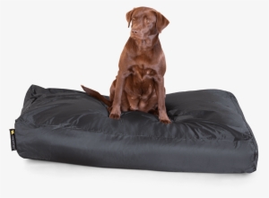 Smoothy Classic Dog Bed Xxl - Zwart #3084710