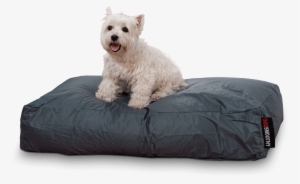 Smoothy Duvet Smoothy Gray #3084979