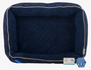 Comfort #3085130