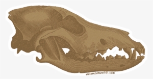 Vulture Culture 101 Stretch Goals - Bat #3085244 Vulture Culture 101 Stretch Goals - Bat #3085244