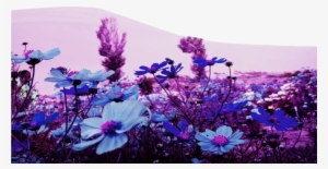 Garden Design With Wallpapers Spring Flowers #3086358