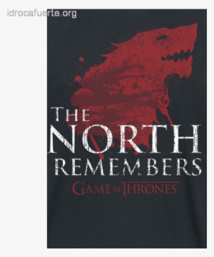 Game Of Thrones T-shirt The North Remembers Size L #3087006