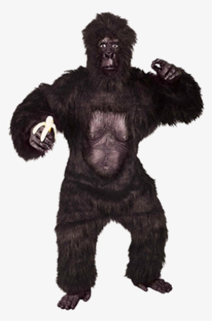 Small Eyes Bf - Gorilla Costume #3087034
