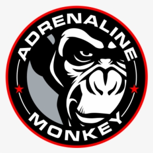Contact Us - Adrenaline Monkey #3088345
