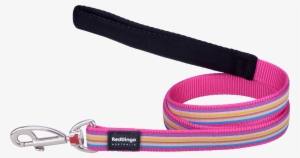 Product Codes - Belt #3089482