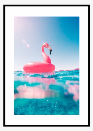 Flamingo Floatie Poster - Water Flamingo #3091056