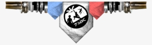 Image Of The Rogue Saber Academy Logo With Banners - Saber Academy #3091930