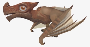 Drake Runescape #3092022